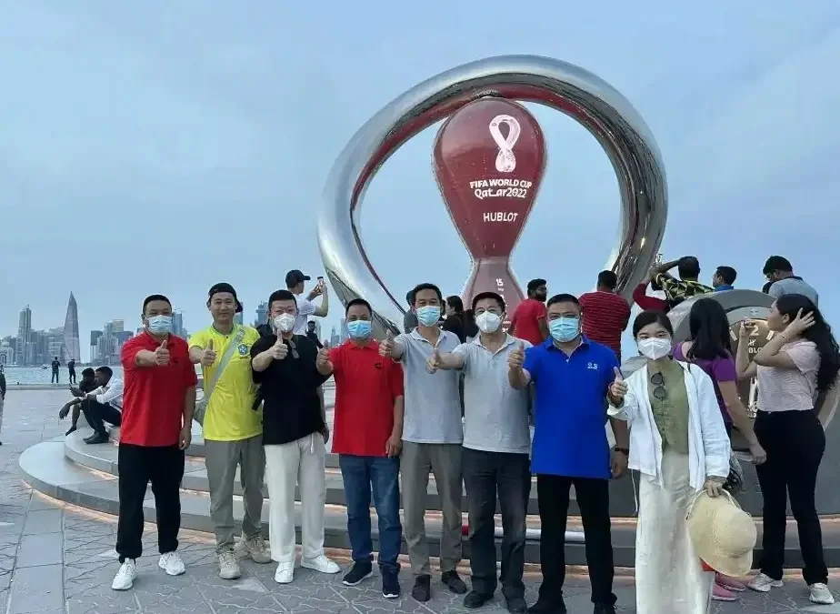 Cummins World Cup Articles