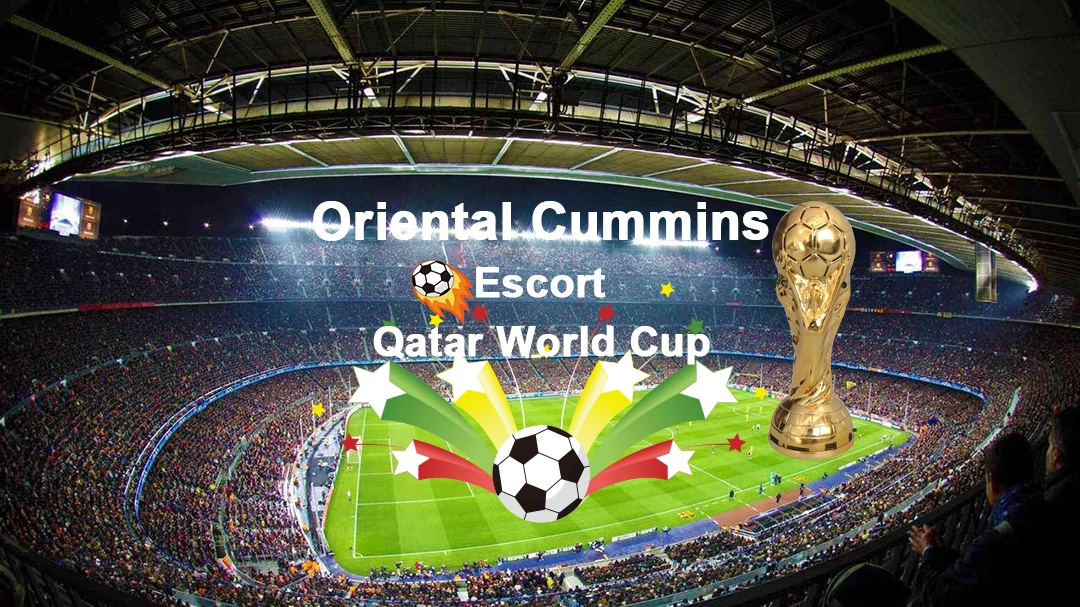 Cummins World Cup Articles